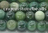 CAA3516 15.5 inches 6mm round AB-color grass agate beads wholesale