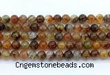 CAA6112 15.5 inches 8mm round dragon vein agate gemstone beads