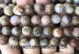 CAA6269 15 inches 12mm round fire agate gemstone beads