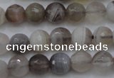 CAG3955 15.5 inches 6mm faceted round grey botswana agate beads