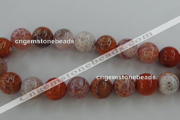 CAG5568 15.5 inches 20mm round natural fire agate beads wholesale