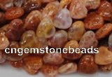 CAG628 15.5 inches 10*10mm heart natural fire agate beads wholesale