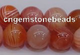 CAG6344 15 inches 12mm round red botswana agate beads wholesale