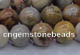 CAG6674 15.5 inches 12mm round natural crazy lace agate beads