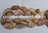 CAG7314 15.5 inches 20*30mm - 30*40mm freeform red botswana agate beads