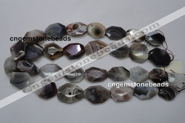 CAG761 15.5 inches 18*25mm faceted freeform botswana agate beads
