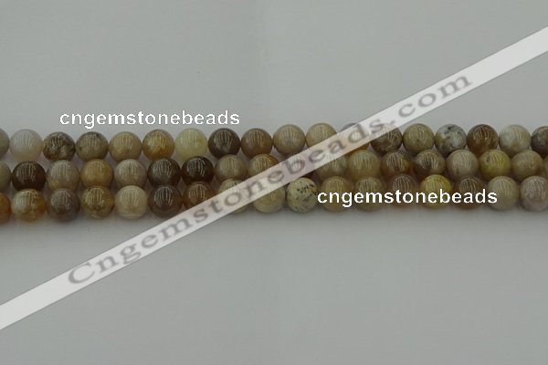 CAG9402 15.5 inches 8mm round ocean fossil agate beads wholesale