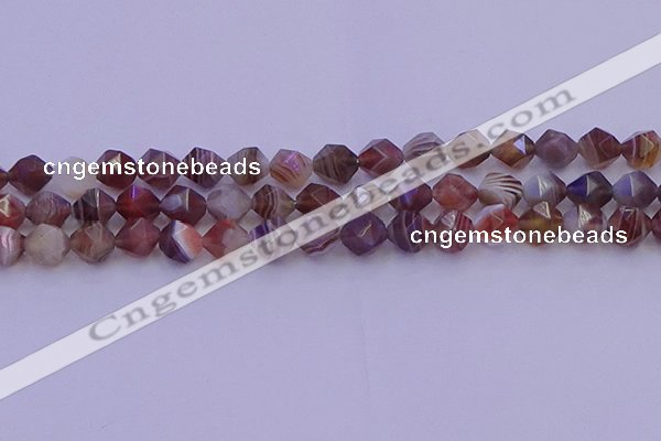 CAG9793 15.5 inches 10mm faceted nuggets botswana agate beads