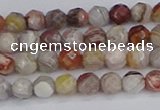 CAG9860 15.5 inches 4mm faceted round Mexican crazy lace agate beads