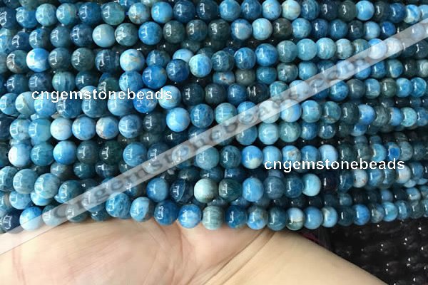 CAP577 15.5 inches 6mm round apatite beads wholesale