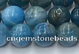 CAP631 15.5 inches 8mm round apatite beads wholesale