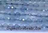 CAQ960 15 inches 2mm faceted round aquamarine beads