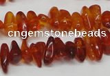 CAR116 16 inches 3*8mm - 4*10mm natural amber chips beads