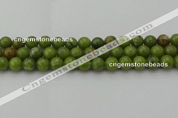 CAU503 15.5 inches 10mm round Chinese chrysoprase beads wholesale