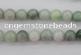 CBJ609 15.5 inches 8mm round jade beads wholesale