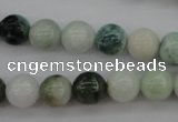 CBJ610 15.5 inches 10mm round jade beads wholesale