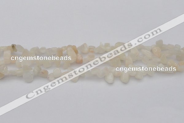 CCH624 15.5 inches 6*8mm - 10*14mm white moonstone chips beads