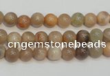CCS302 15.5 inches 6mm round natural sunstone beads wholesale
