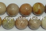 CCS308 15.5 inches 18mm round natural sunstone beads wholesale