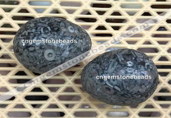 CDN347 35*50mm egg-shaped fossil jasper decorations wholesale