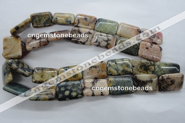 CFC121 15.5 inches 18*25mm rectangle fossil coral beads wholesale
