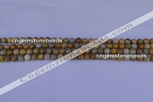 CFC200 15.5 inches 4mm round fossil coral beads wholesale