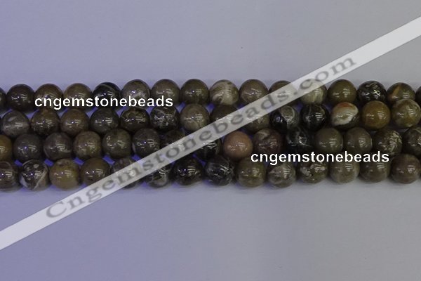 CFC215 15.5 inches 14mm round grey fossil coral beads wholesale