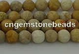 CFC221 15.5 inches 6mm round matte fossil coral beads wholesale