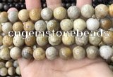 CFC324 15.5 inches 12mm round fossil coral beads wholesale