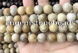 CFC325 15.5 inches 14mm round fossil coral beads wholesale
