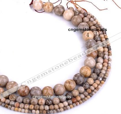 CFC55 15.5 inches round coral fossil jasper beads wholesale