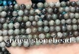 CGJ511 15.5 inches 6mm round green forst jasper beads wholesale