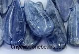 CKC821 15 inches 10*20mm - 16*30mm flat teardrop blue kyanite beads