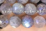 CLB1072 15.5 inches 6mm faceted round labradorite beads