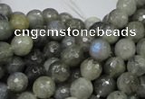 CLB22 15.5 inches 8mm faceted round labradorite gemstone beads