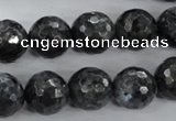 CLB364 15.5 inches 14mm faceted round black labradorite beads wholesale