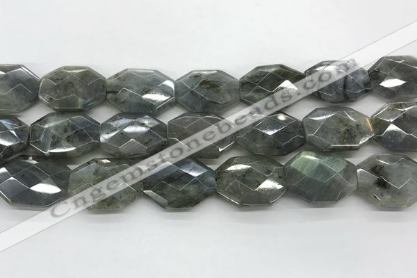 CLB797 18*24mm - 20*25mm faceted octagonal labradorite beads