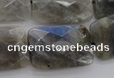 CLB97 15.5 inches 20*30mm faceted rectangle labradorite beads