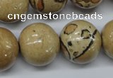 CLD52 15.5 inches 20mm round African leopard skin jasper beads