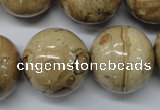 CLD53 15.5 inches 25mm round African leopard skin jasper beads
