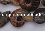 CMM01 15.5 inches 13*18mm - 30*35mm carved ammonite gemstone beads