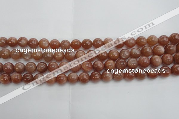 CMS1003 15.5 inches 10mm round AA grade moonstone gemstone beads