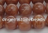 CMS1005 15.5 inches 14mm round AA grade moonstone gemstone beads