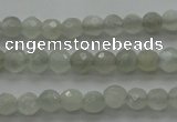 CMS1054 15.5 inches 4mm faceted round grey moonstone beads wholesale