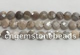 CMS1790 15.5 inches 12mm faceted coin AB-color moonstone beads