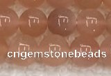 CMS1896 15.5 inches 8mm round moonstone gemstone beads
