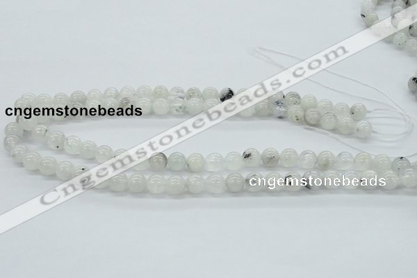 CMS203 15.5 inches 9mm round moonstone gemstone beads wholesale