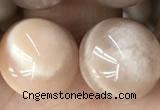 CMS2057 15.5 inches 12mm round moonstone gemstone beads