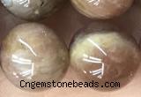 CMS2065 15.5 inches 12mm round moonstone gemstone beads