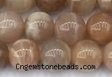 CMS2111 15 inches 8mm round moonstone beads